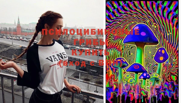 твердый Алзамай