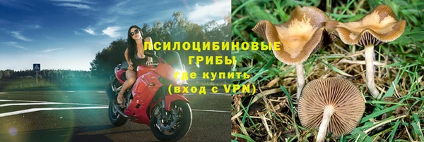 твердый Алзамай