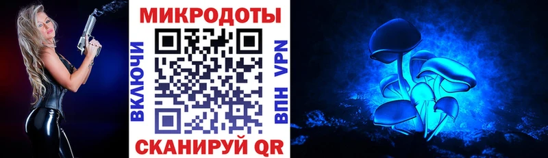 где купить наркоту  Сунжа  Псилоцибиновые грибы ЛСД 